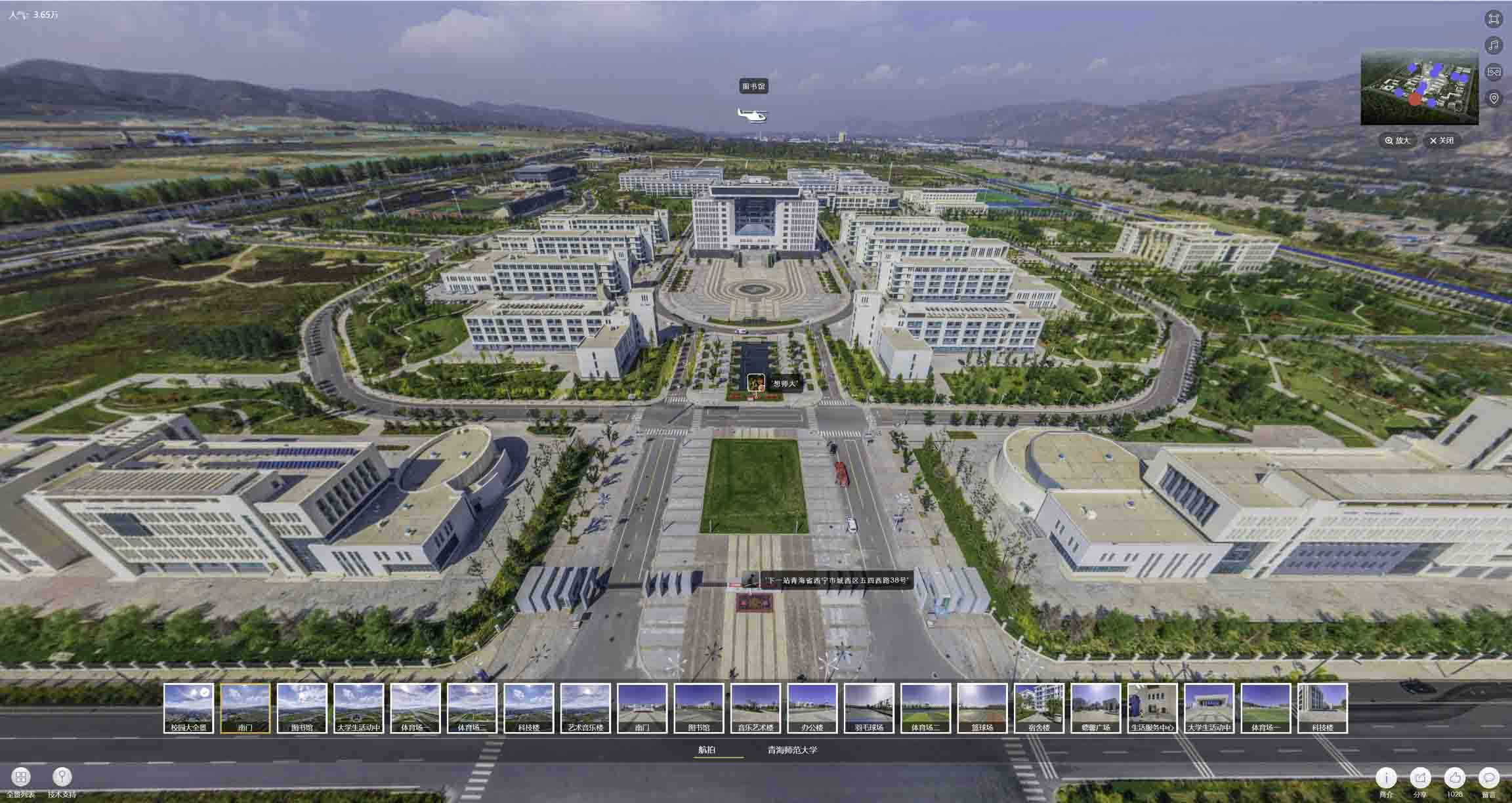 临海油菜花-惊艳半生的花海仙境